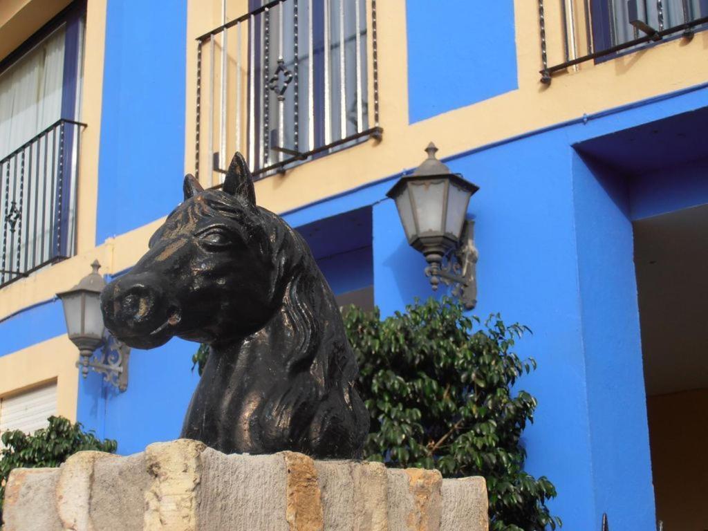 Hotel Caballo Negro Puerto Real Luaran gambar